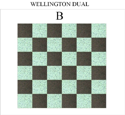 DUAL-WELLINGTON