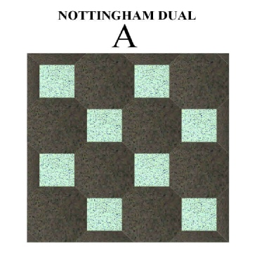 DUAL-NOTTINGHAM